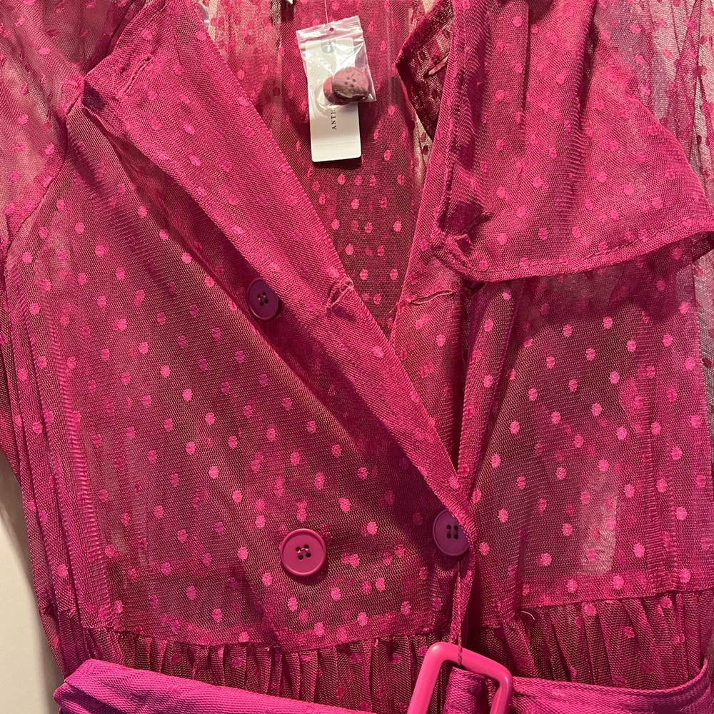 Anthropologie DOLAN Sheer Pleated Swiss Dot Tulle Trench Coat